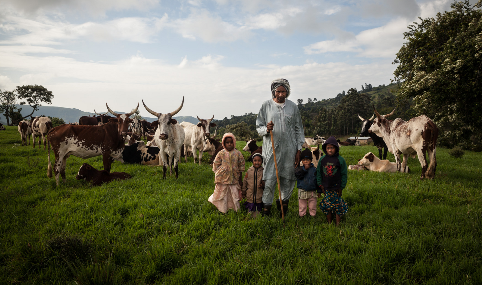 Paysages agricoles du Cameroun